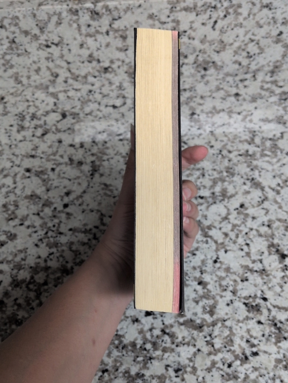 Angel Maximum Ride James Patterson Novel Romance - Picture 2 of 2
